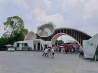 “Panda Paradise: Chengdu’s Living Conservation Garden”