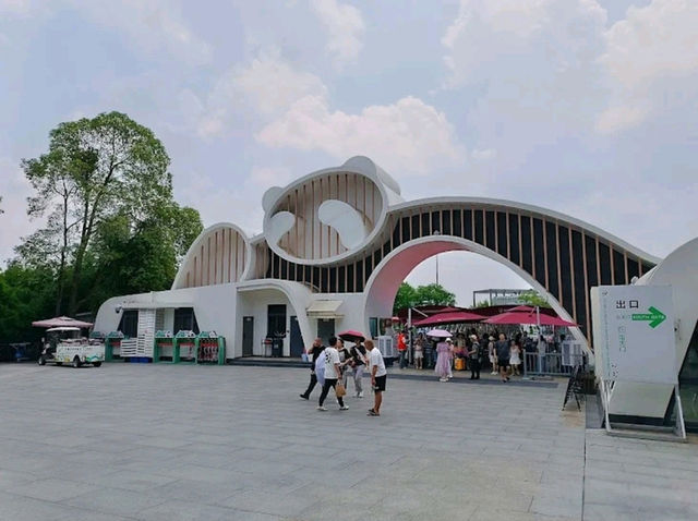 “Panda Paradise: Chengdu’s Living Conservation Garden”
