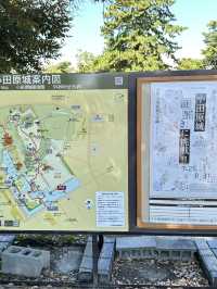 若沒有想過要到達某個地方, 那麼所有的風景都是目的地。 《 村上春樹 》