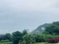 ภูผาม่าน ธรรมชาติฮีลใจสุด