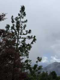 太平山森林遊樂區