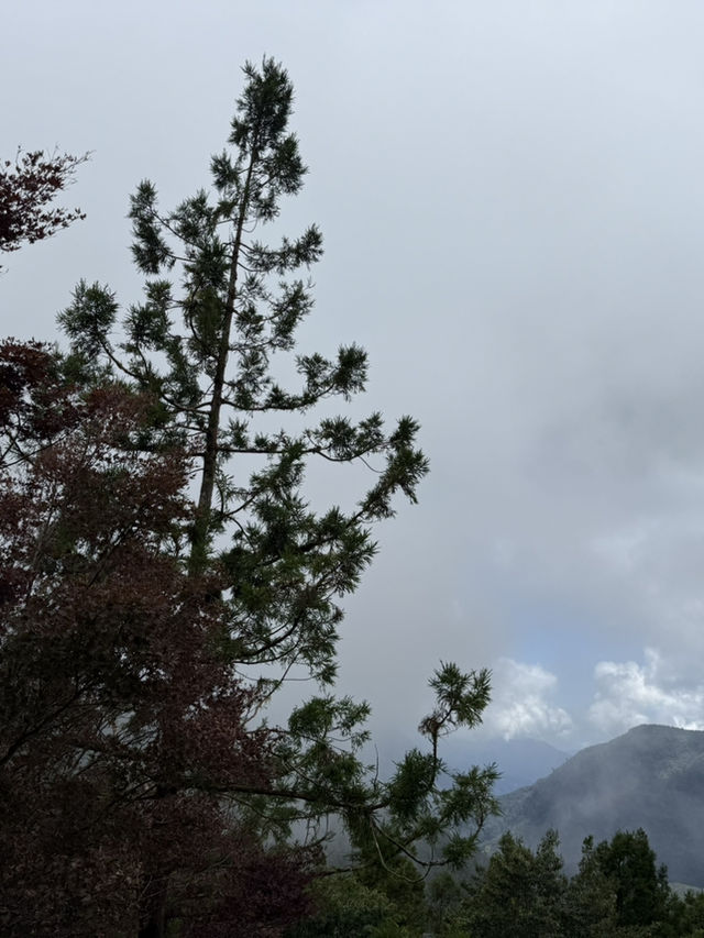 太平山森林遊樂區