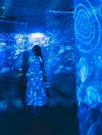 映像×物語 体験型の空間アート『旅する光の切り絵展』🐬