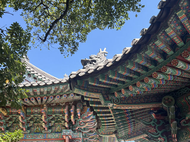 여수 뚜벅이 걸스트립 가이드!