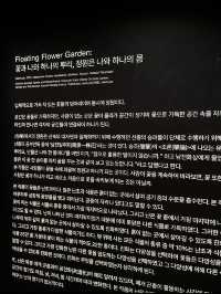 📍도쿄 여행 필수 코스✨ 팀랩 플래닛 도쿄❤️