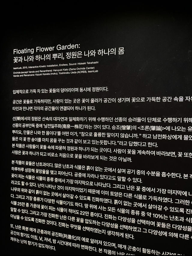 📍도쿄 여행 필수 코스✨ 팀랩 플래닛 도쿄❤️