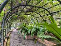 Bougainvilaa Trail Putrajaya – A Colorful Escape for Nature Lovers