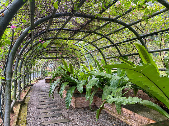 Bougainvilaa Trail Putrajaya – A Colorful Escape for Nature Lovers