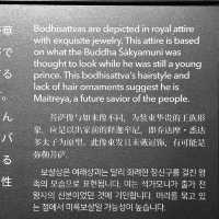 A Solo Trek Through Ancient Civilizations: India, Gandhara, Egypt & West Asia 🐫