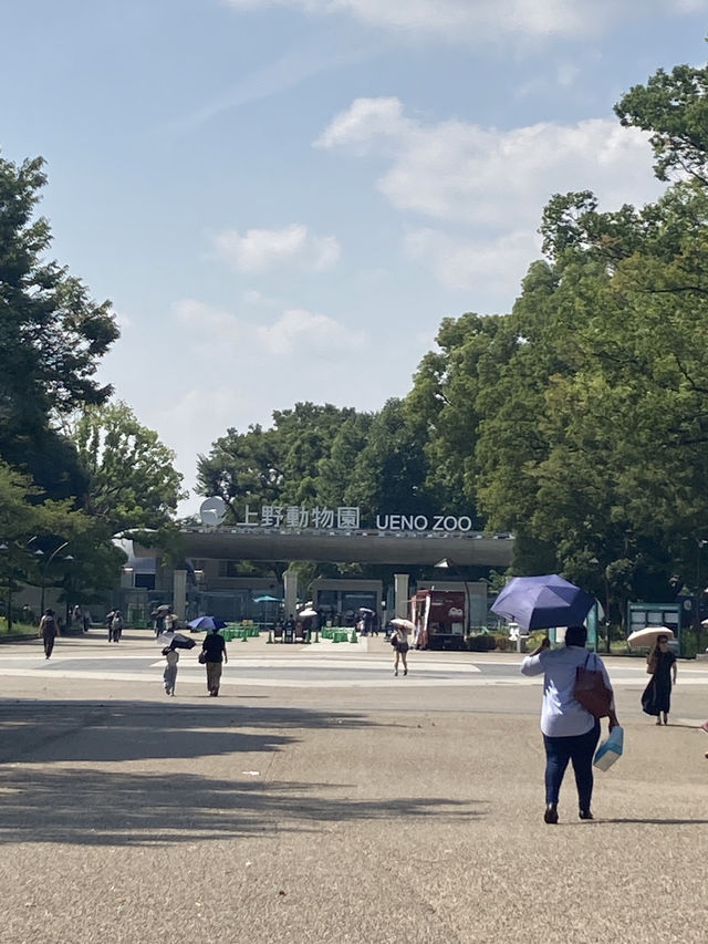 【東京・上野】東京観光では外せない!定番スポットの上野恩賜公園 【東京・上野】東京観光では外せない!定番スポットの上野恩賜公園