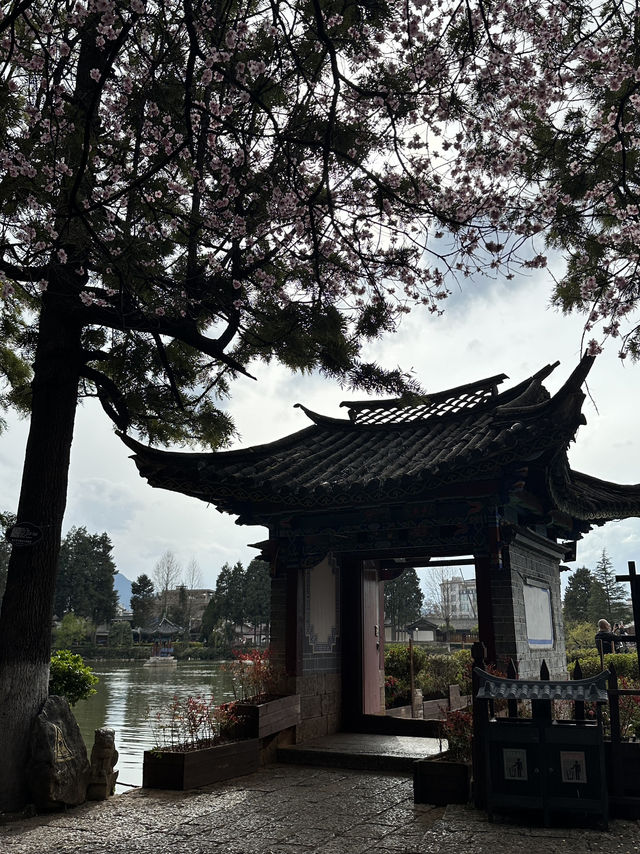 BEST LIJIANG'S SUNSET SPOT 🌄 BEST LIJIANG'S SUNSET SPOT 🌄