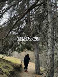 做少啲功課功課🤣，今次我就做咗大冤種啦