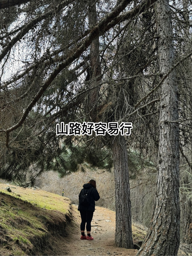 做少啲功課功課🤣，今次我就做咗大冤種啦