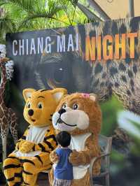 แวะมาดูสัตว์น่ารักได้ที่ไนท์ซาฟารี พบกับน้องเอวา 🐯