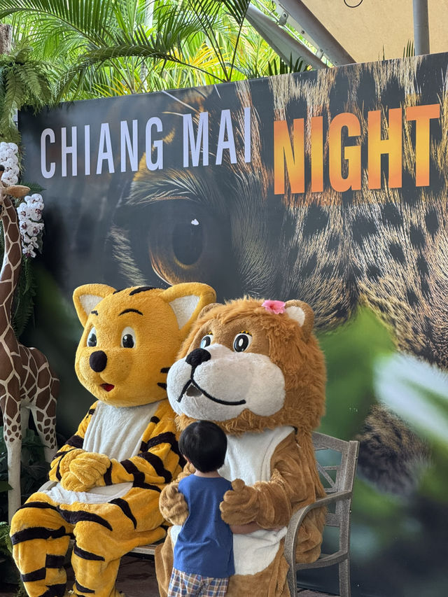 แวะมาดูสัตว์น่ารักได้ที่ไนท์ซาฟารี พบกับน้องเอวา 🐯