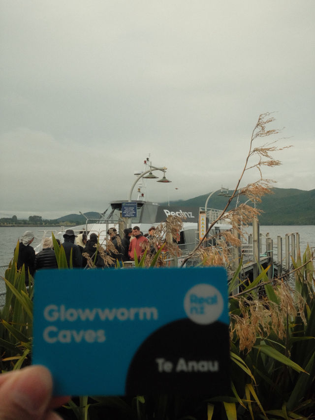 Quick Guide to Activities That I did in New Zealand