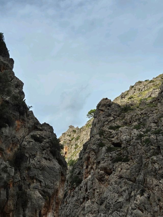 🌅 노을에 물드는 협곡의 해변 , 사칼로브라 Torrent de Pareis 해변🌅