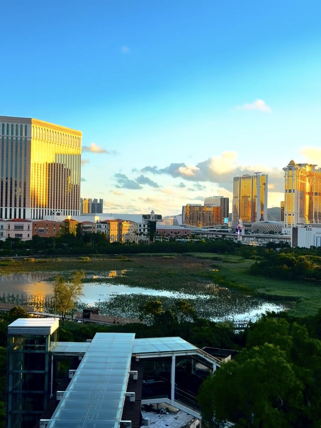 🇲🇴澳門氹仔區 🇲🇴澳門氹仔區
