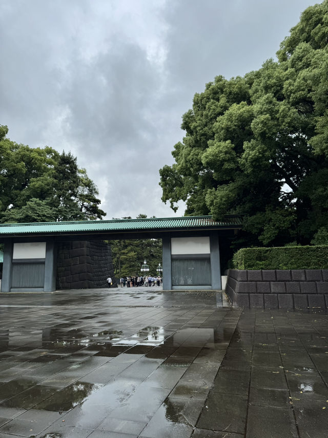 Summer in Tokyo🌤️