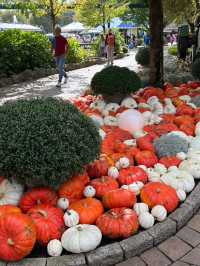Europa-Park “Halloween is coming”