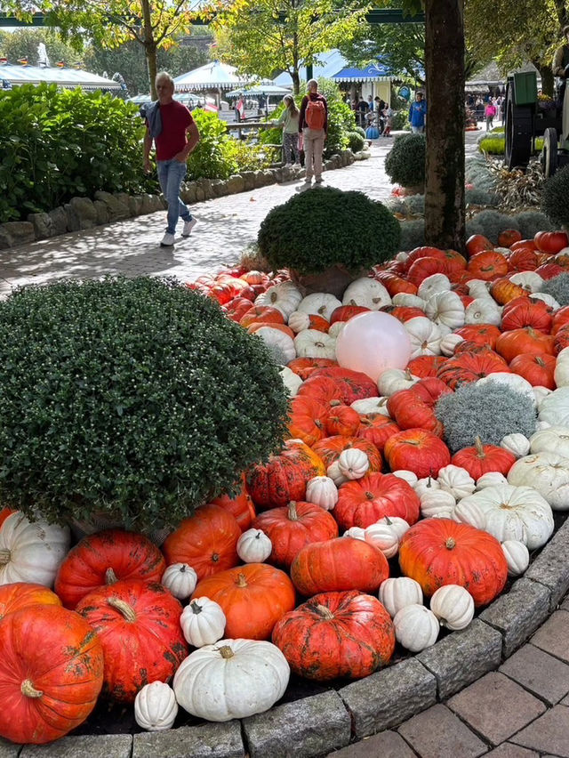 Europa-Park “Halloween is coming”