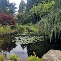 Loki Schmidt Garden Botanical of University Hamburg