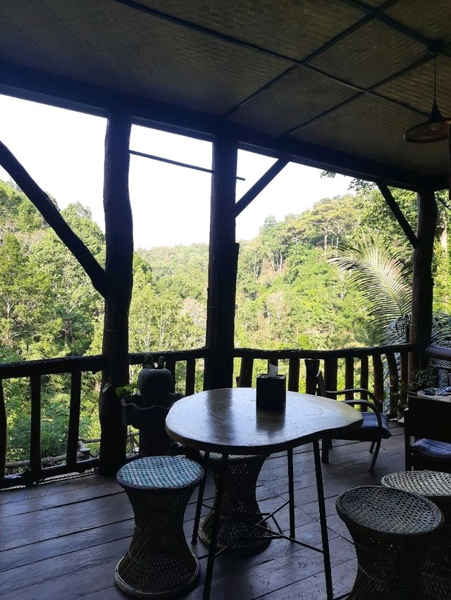 🌳 "บ้านต้นไม้" ที่พักและคาเฟ่สุดชิลล์ในเชียงดาว