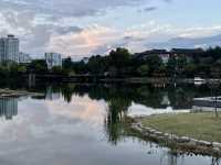 🌿 전주 덕진공원에서 느끼는 한옥과 호수의 고요한 오후 🌅