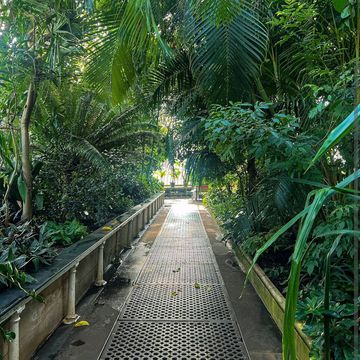 Kew Gardens