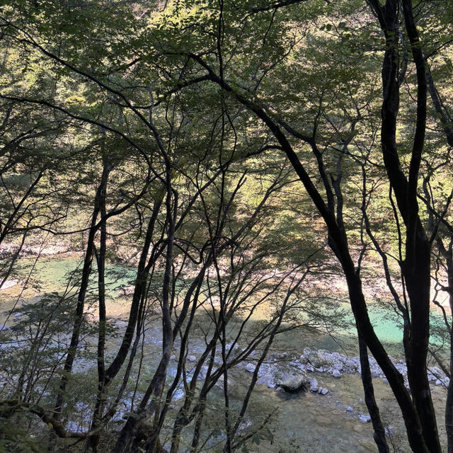 水が綺麗過ぎて癒されました❤️ 水が綺麗過ぎて癒されました❤️