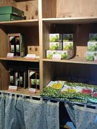 🍷 불빛 아래 빛나는 감성, 광양 와인동굴