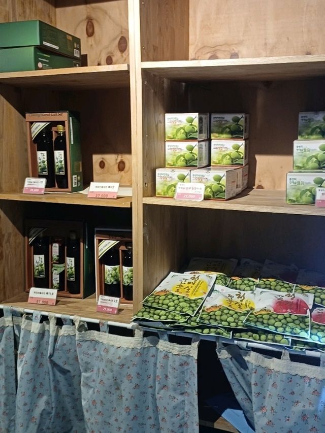 🍷 불빛 아래 빛나는 감성, 광양 와인동굴