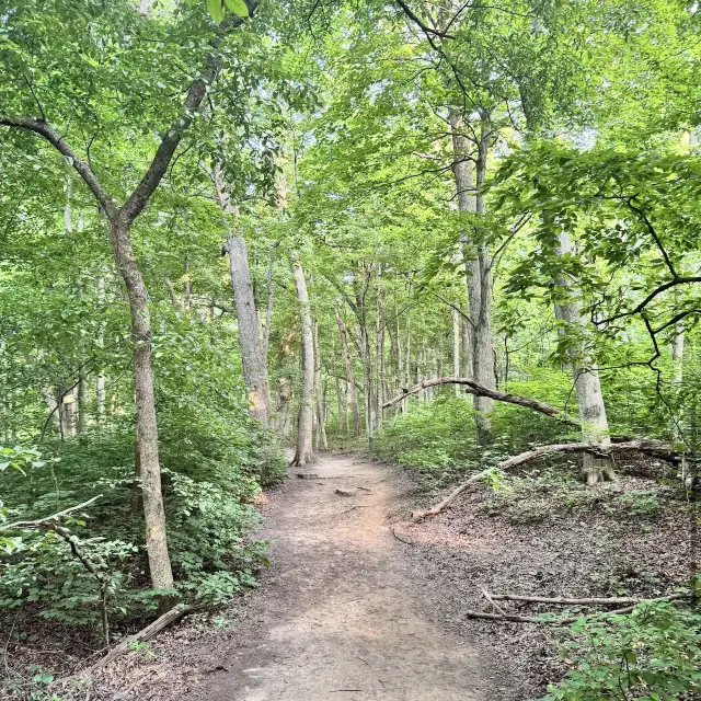 Starved Rock State Park