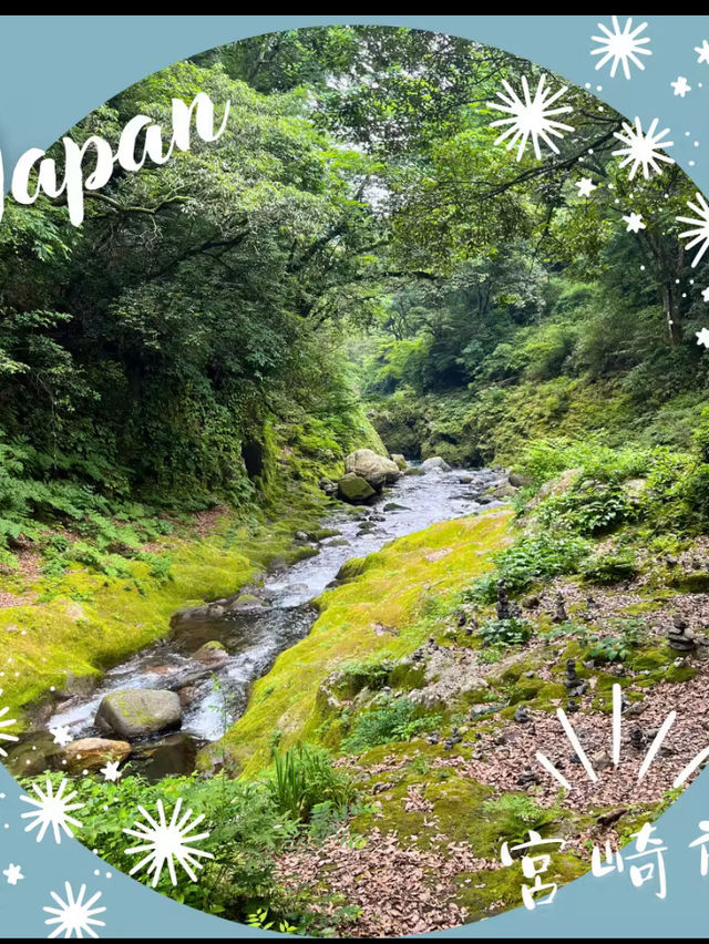 【宮崎】川と森林に抱かれる癒しの道 ― 天安河原への散策