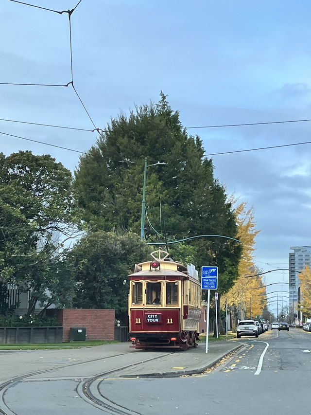 瓦納卡之樹打卡靚景🌳 瓦納卡之樹打卡靚景🌳