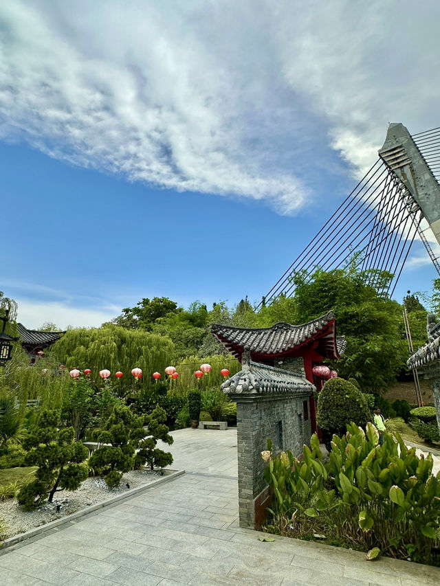 Sunny Willow Views🌳 China-Malaysia Friendship Garden Sunny Willow Views🌳 China-Malaysia Friendship Garden