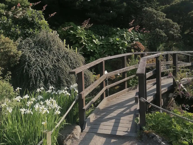 Royal Botanic Garden Edinburgh