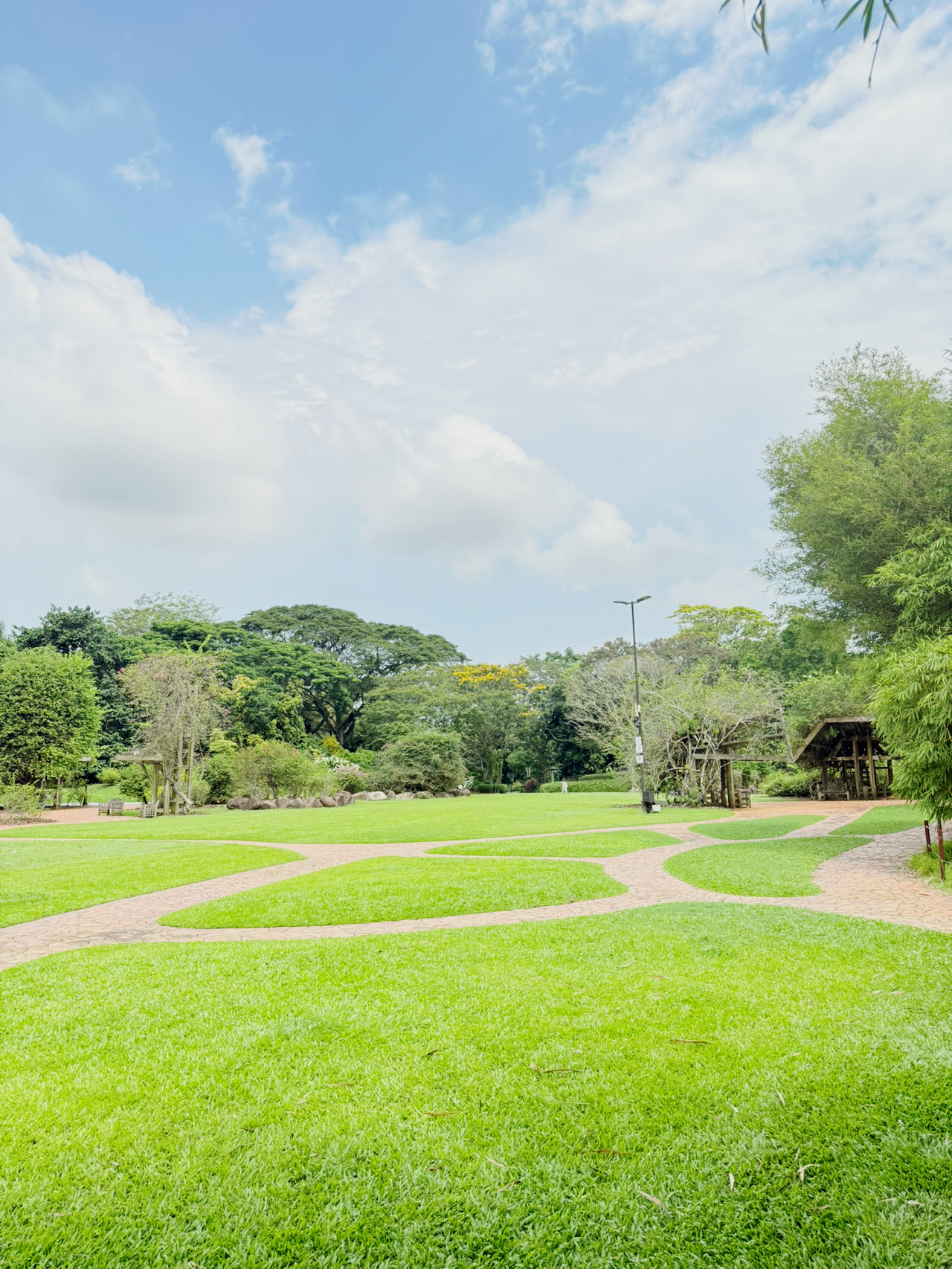 #OverseasTravel

📍1 Cluny Rd, Singapore 259569

If you're looking to relax in nature during your trip to Singapore, be sure to visit the Botanic Gardens. Nestled in the heart of the city, this lush green garden and beautiful lake make for a perfect stroll. Designated a UNESCO World Heritage Site, the gardens are impressive in scale and well-maintained, and there are numerous photo spots throughout, making them perfect for taking photos. If you're looking for a quiet, healing escape from the hustle and bustle of the city, enjoy a relaxing day at the Botanic Gardens.

#SingaporeTravel #BotanicGardens #HealingTravel #PlacesToVisitInSingapore #NatureTravel #SingaporeHotPlaces #TravelRecommendations #SingaporeDate #EmotionalTravel
