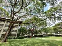 🌿 The Saujana Hotel Kuala Lumpur — A Serene 5-Star Resort in Shah Alam