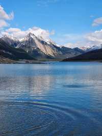Jaspwe Rockies