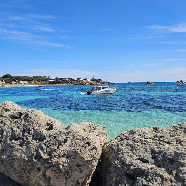 Rottnest Island Bliss