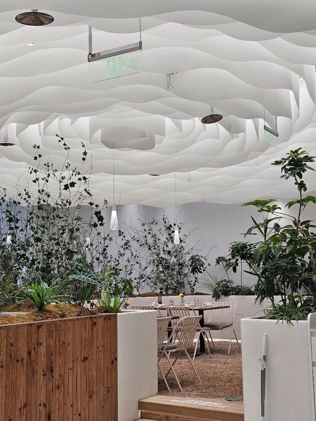 Indoor Eats Chengdu✨