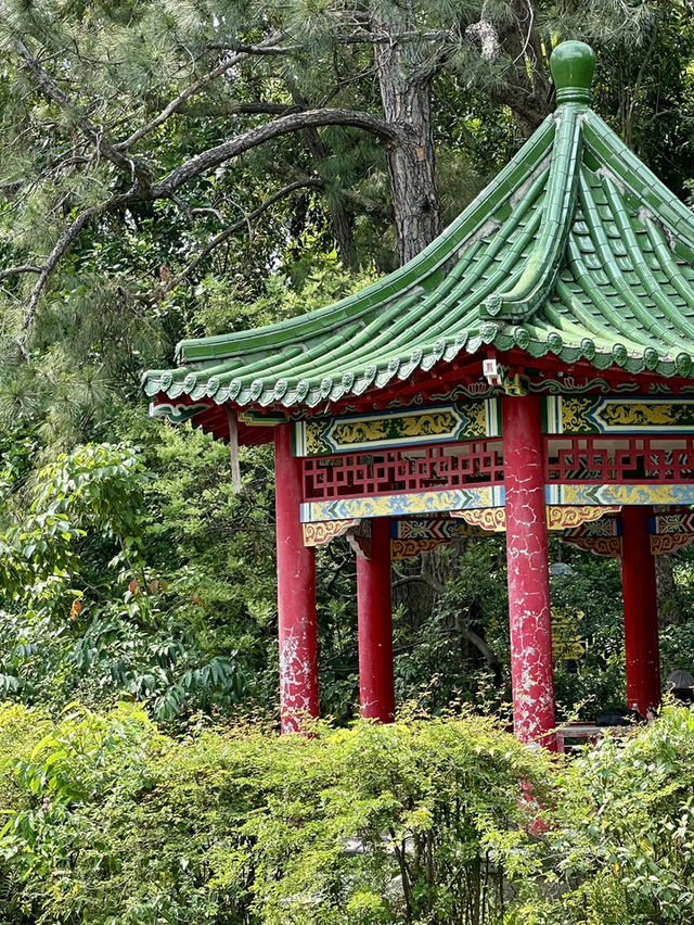 植物總類多達2000種!台灣第一座植物園 植物總類多達2000種!台灣第一座植物園