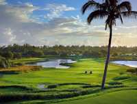 Le Chateau Golf Course of Mauritius -Always a pleasure to come to the Castle and Telfair! 