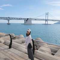 釜山🇰🇷廣安大橋🌁海濱咖啡街～花海片片