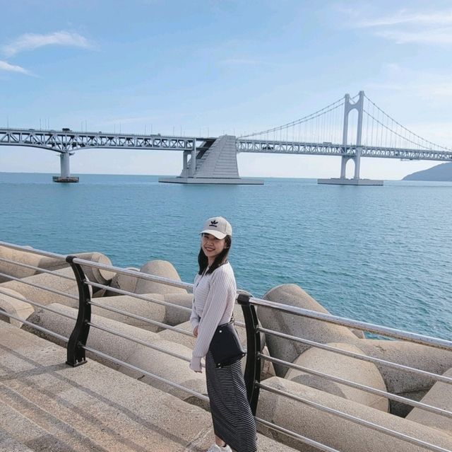 釜山🇰🇷廣安大橋🌁海濱咖啡街～花海片片