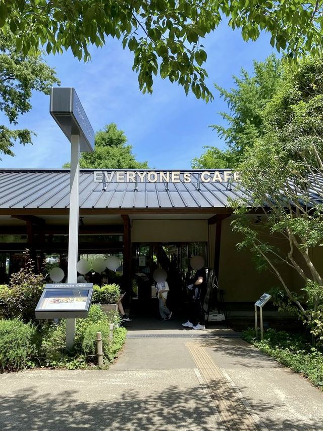 🌿 Lunch with a View at EVERYONESCAFE