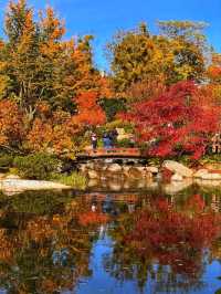 🌄✨ Kahlenberg – Vienna’s Scenic Skyline Escape