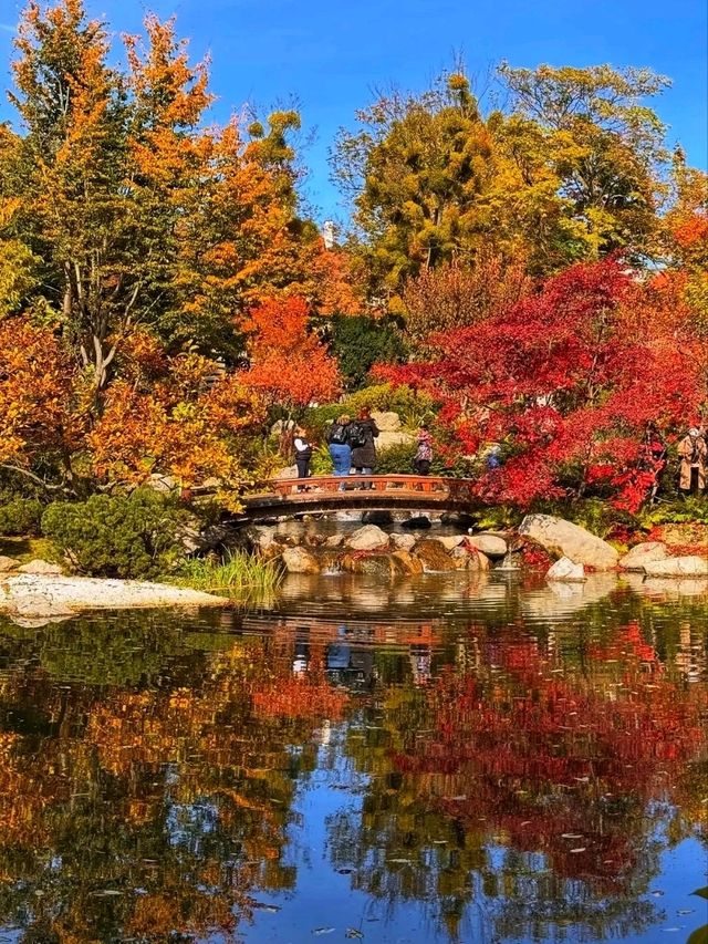 🌄✨ Kahlenberg – Vienna’s Scenic Skyline Escape