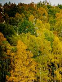 A Kanas Autumn Fairytale